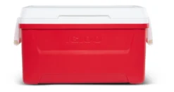 Koelbox Igloo Laguna 48 Red 12 Koelbox Igloo Laguna 48 Red -MSR Winkel 00050063 F 1