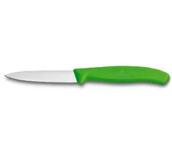 Groentemes Victorinox Swiss Classic Groen