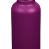 Reisfles Klean Kanteen Classic Purple Potion 800 Ml -MSR Winkel K27CPPS PP