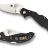 Vouwmes Spyderco Small Persian Folder 2