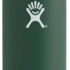 Thermosfles Hydro Flask Wide Mouth 2.0 Flex Cap Olive 1,2L -MSR Winkel hydro flask wide mouth 1.2l